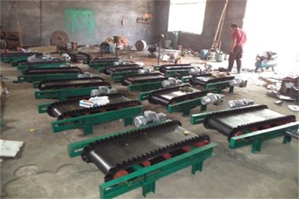 沧州有实力的ICS-17B电子皮带秤生产厂家
